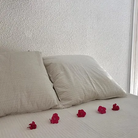 Rivage - Climatise Avec Piscine Et Vue Apartamento *